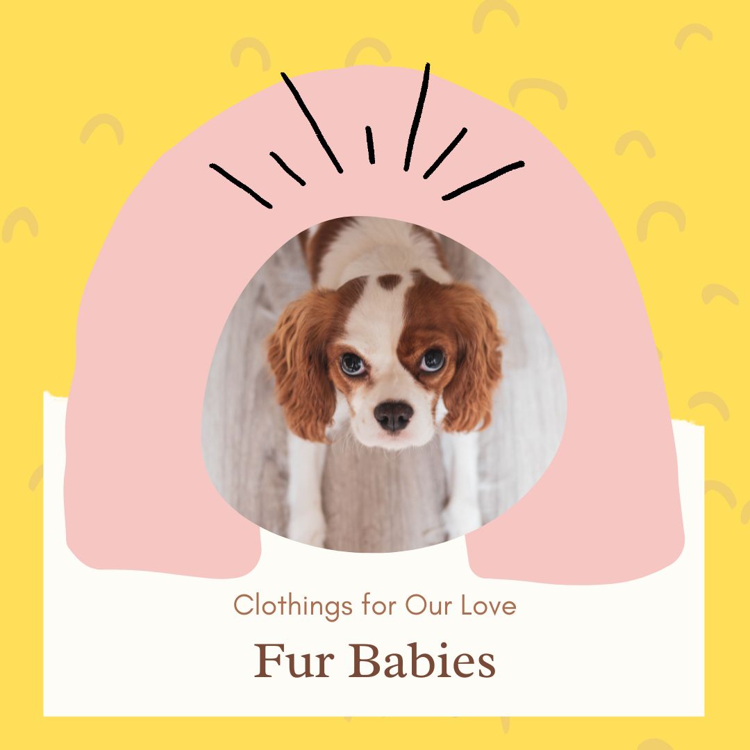 Fur Babies Clothings